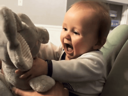 ✨Peek-a-boo Elephant✨