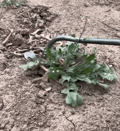 Ultimate Easy Weeding Tool