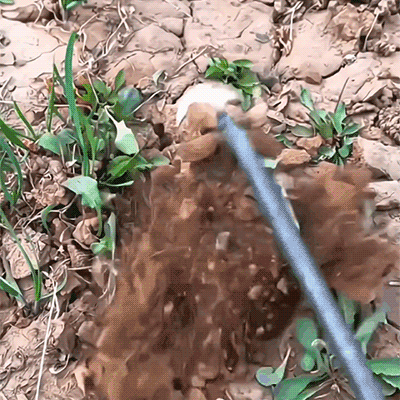 Ultimate Easy Weeding Tool